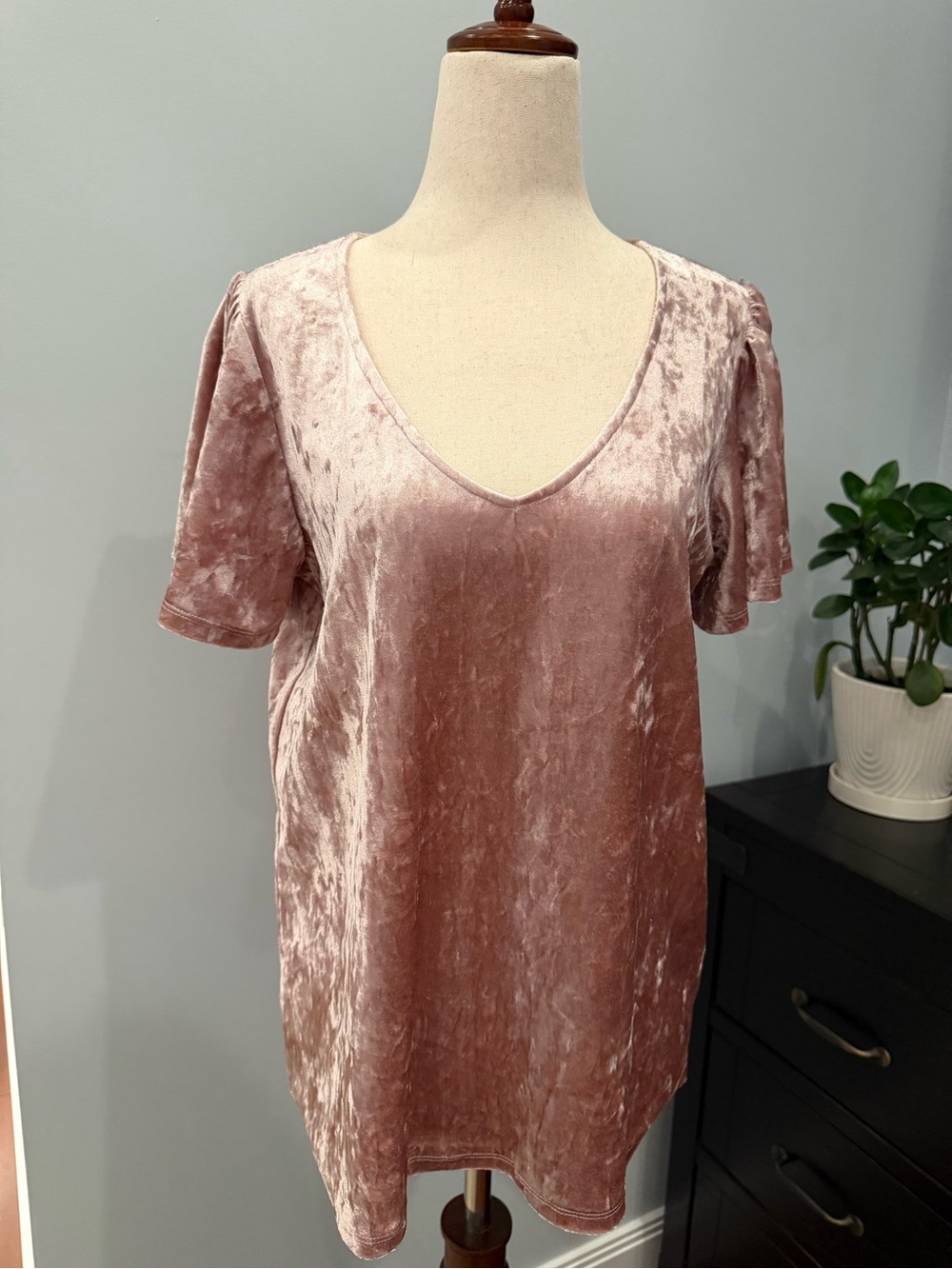 Gibson Dusty Rose Velvet V-Neck Short Sleeve Tee